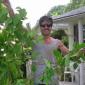 View the image: Nice Plant
