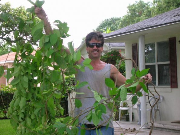 Nice Plant