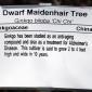 View the image: Dwarf_Maidenhair1