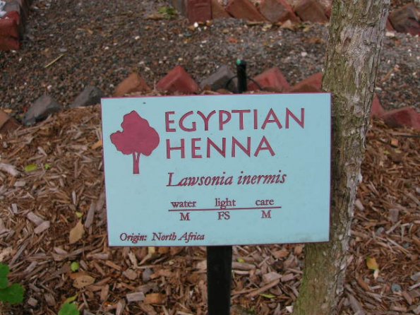 Egyptian henna sign