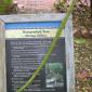 View the image: Horseradish sign