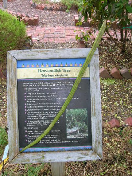Horseradish sign