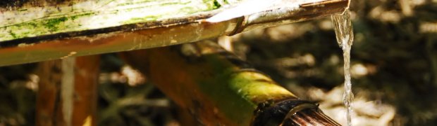 Shishi Odoshi:
A Shishi odoshi Water Fountain