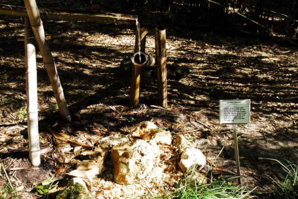 A Shishi odoshi Water Fountain
