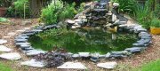 View the Album: Making A Pond
 15 images(s)