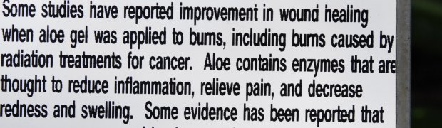 Aloe:
Aloe