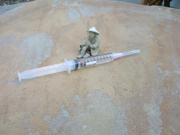 A Mushroom Spore Syringe