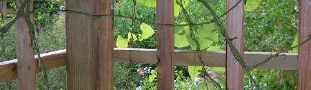 Side Screen:
Side Screen