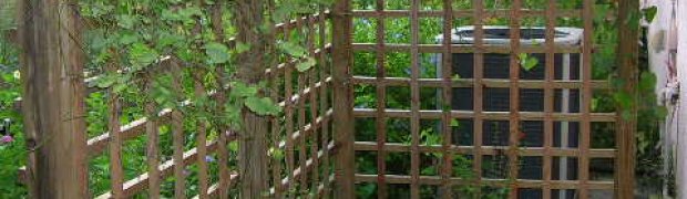 Side Screen:
Side Screen