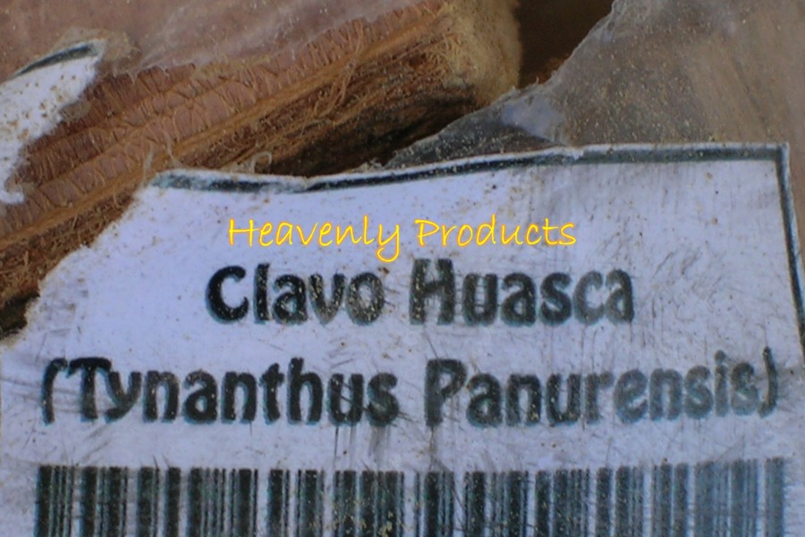 Tynanthus panurensis (Clavo huasca) Whole Pieces