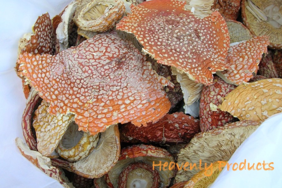 Amanita muscaria USA Mushroom Caps 1/4 lb (114g)