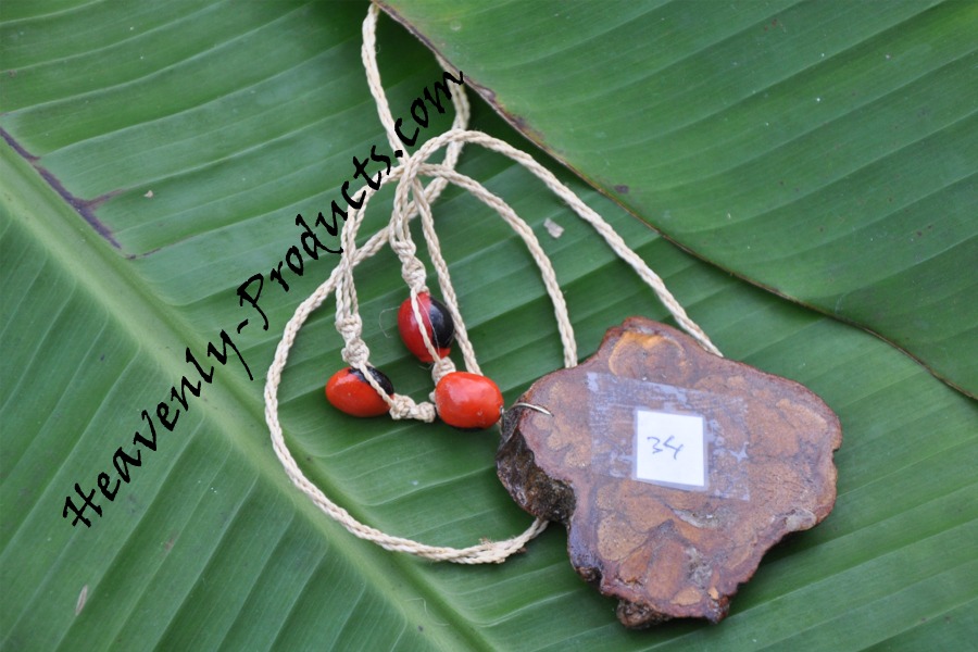 Black Banisteriopsis caapi Pendant Necklace #BK-34- SOLD