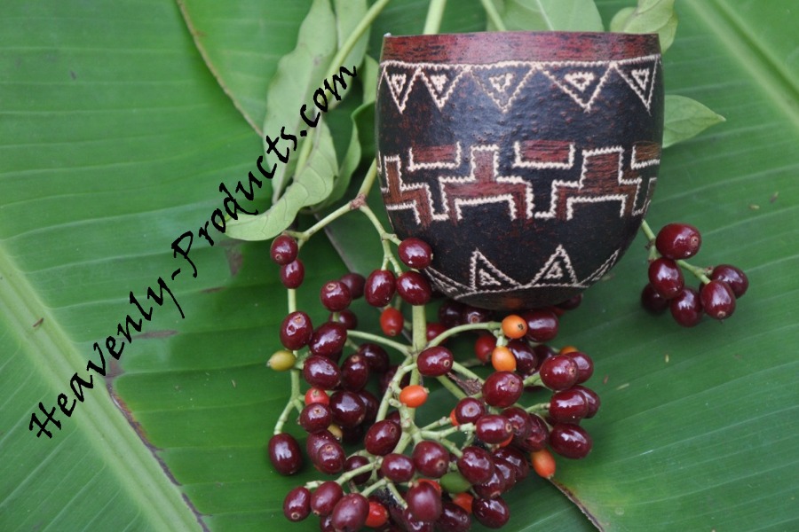 Ayahuasca Drinking Hand Carved Cups- #19A- SOLD