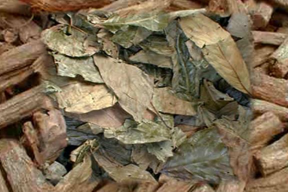 Diplopterys cabrerana Leaves- 1/4 Pound (114g)