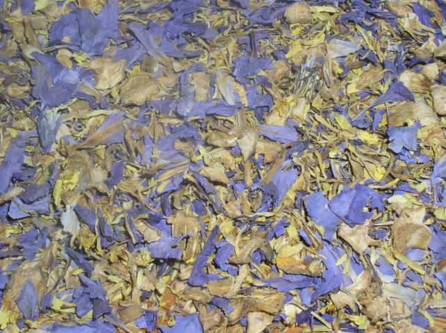 Nymphaea caerulea- (Blue Lily Flowers) 1/4lb (114gms)