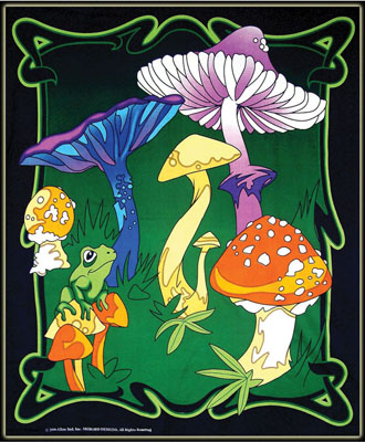 Giant Wonderwall Tapestry: Wild Mushrooms #RV