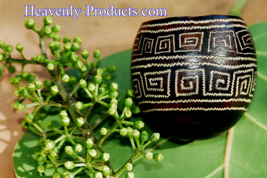 Ayahuasca Drinking Hand Carved Cups- #AB-03- SOLD
