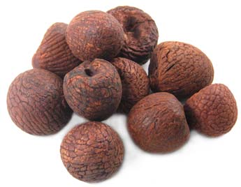 Areca catechu- Whole Betel Nut- 1/2LB (224 gms) #MR