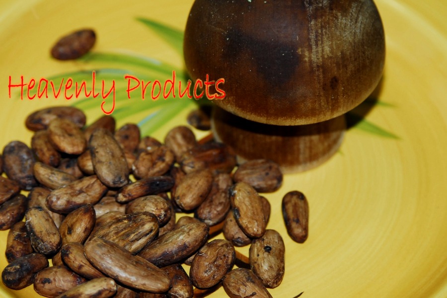 Theobroma cacao, Whole Cocoa Bean 1/2LB (224gms)