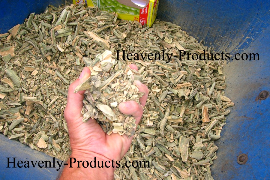 Trichocereus pachanoi Dried Pieces & Powdered 1oz of Each(56gms)