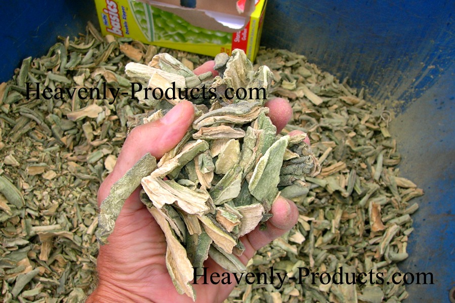 Trichocereus peruvianus Dried Pieces & Powdered 1oz Each (USA)
