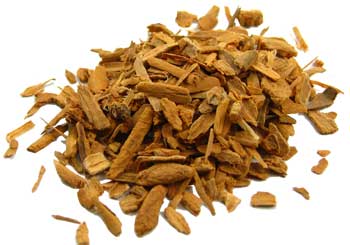 Cinnamomum zeylanicum- Sweet Cinnamon
