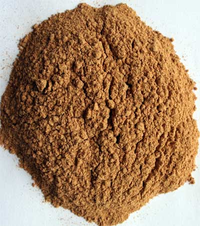 Tynanthus panurensis (Clavo huasca) Powdered