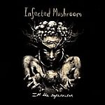 I'm the Supervisor by Infected Mushroom- SOLD