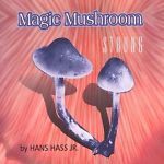 Magic Mushroom: Strong by Hans Hass, Jr.