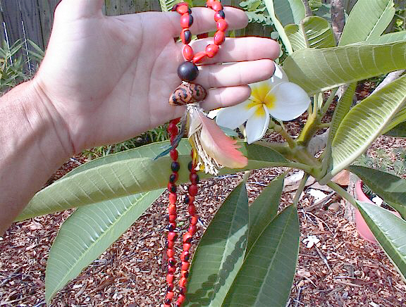 Peruvian Ormosia nobilis- Lady Bug Tree Seed Wrist Mala 6"