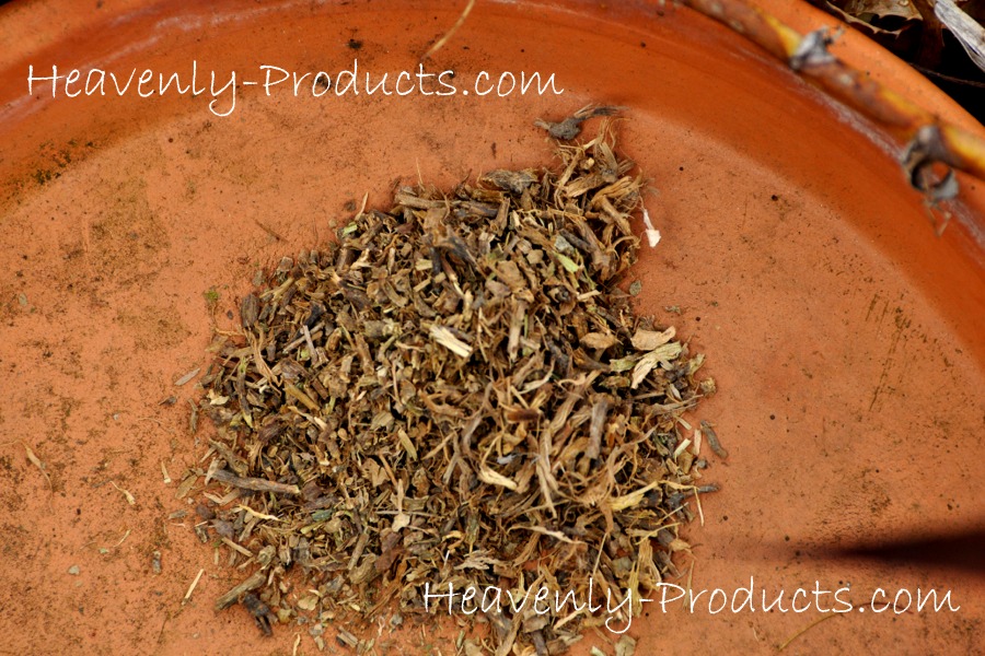 S. tortuosum- South African Kanna- Tea Cut- 1/4lb (114 gms)