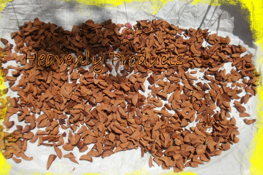Cola acuminata- Dried Organic Kola Nut Pieces