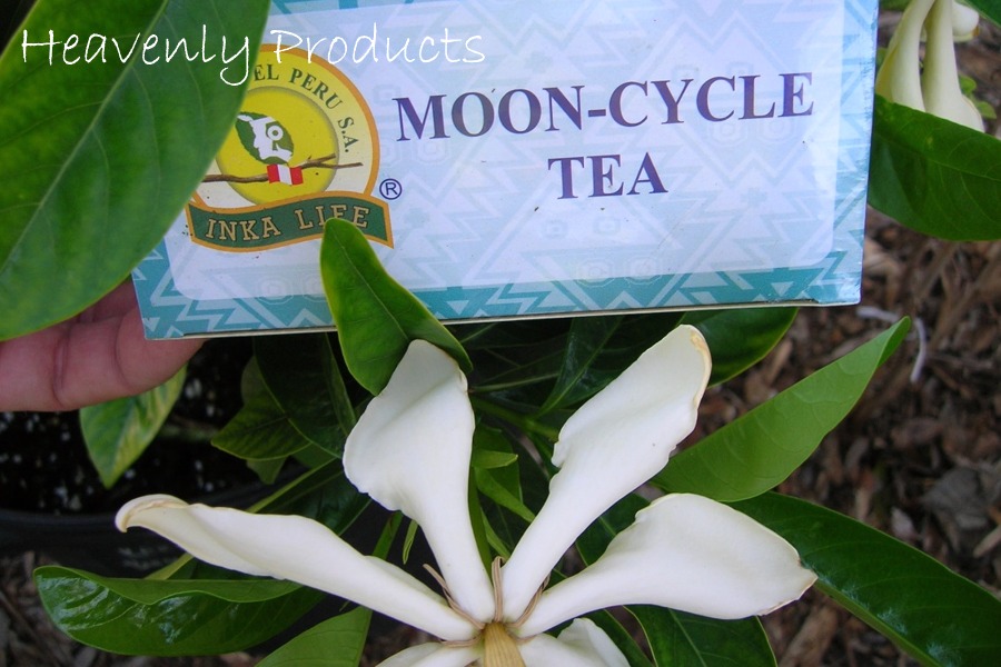 Moon Cycle Menstrual Tea- 5 Loose Tea Bags