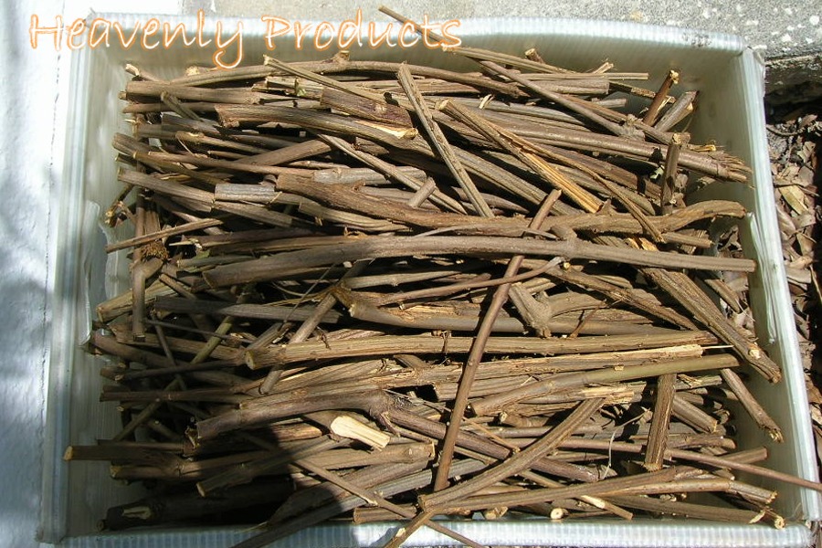 Banisteriopsis caapi (Yellow) Dried Large Twigs