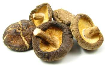 Lentinula edodes- Whole Shiitake Mushroom 1/2lb (224 gms) #MR