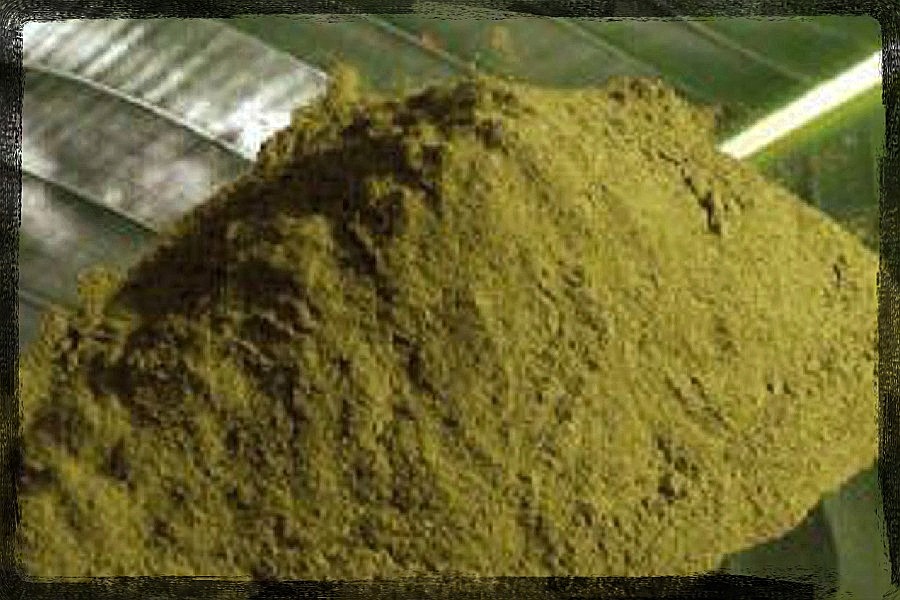 Trichocereus peruvianus USA Grown Dried Powder 1oz (28g)
