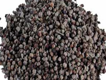 Vitex agnus-castus- Chaste Tree Seeds 1/2lb (224gms) #MR