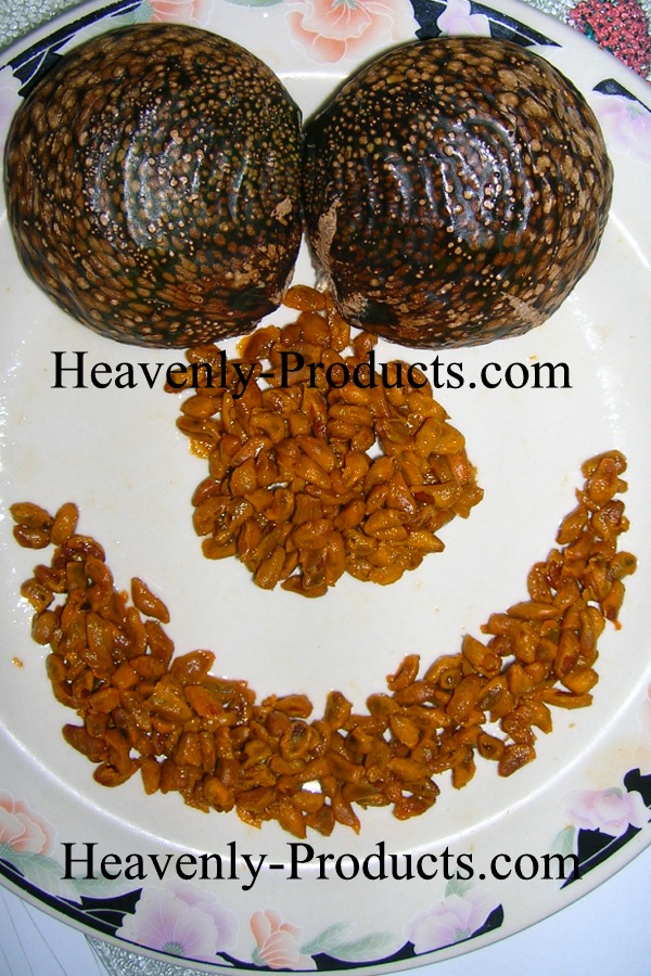Voacanga africana Seeds