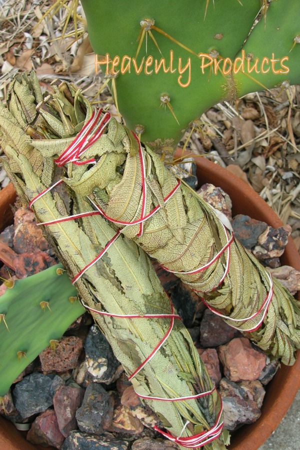 Yerba Santa Smudge Stick- 7" Long